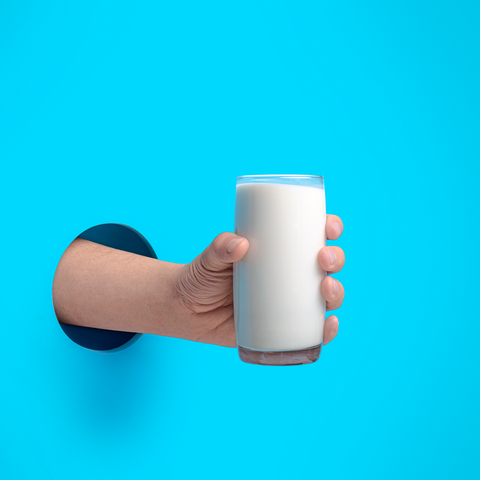 NotMilk Low Fat 1LT Bebida Vegetal